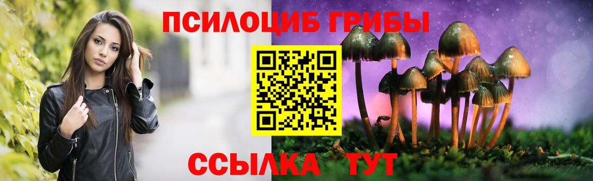 Галлюциногенные грибы Psilocybine cubensis  Вход с VPN  Дербент  Псилоцибиновые грибы Psilocybe 
